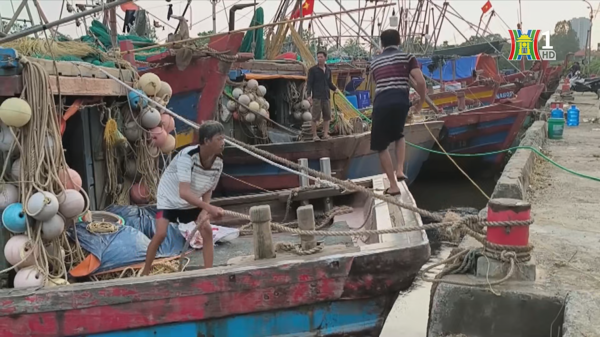 Tỉnh Thái Bình đã ban hành lệnh cấm biển, trong đó nghiêm cấm tàu, thuyền ra khơi.